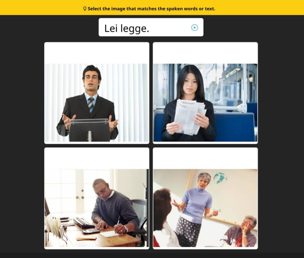 Rosetta Stone visual lesson