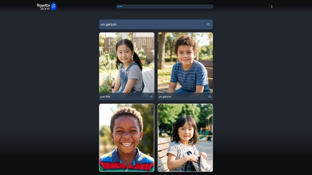 Rosetta Stone French practice