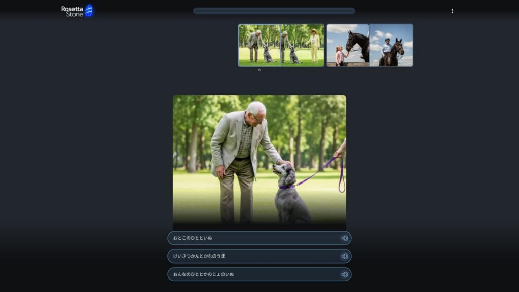 Rosetta Stone Japanese drill
